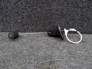 P-300M Electronics International Magnetic Float Sensor LH or RH