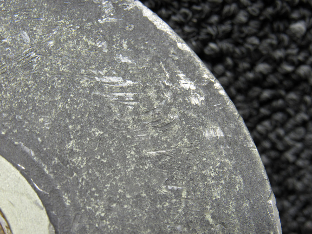 MO032326EC-65JL