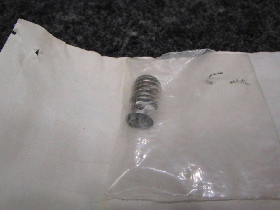 21067-20 Worm Gear (New Old Stock) (SA)
