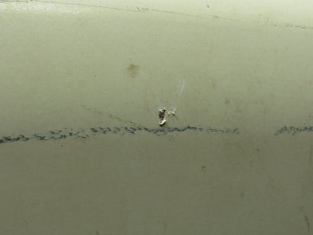 MO09222025EC-63MB