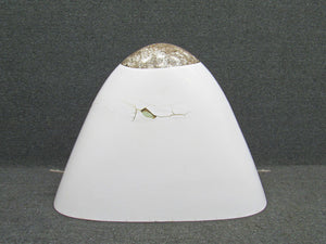 5513101-1, 5513090-31 Cessna 501 Radome with Aft Panel Assembly