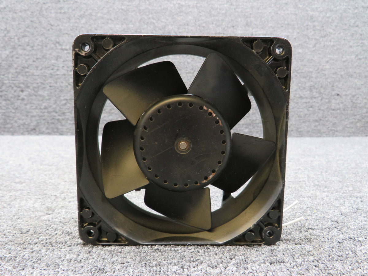 KX031924AR35