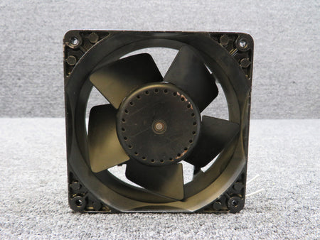 KX031924AR35