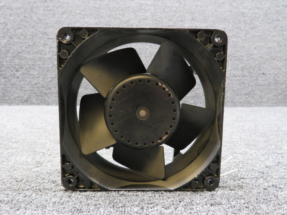 KX031924AR35
